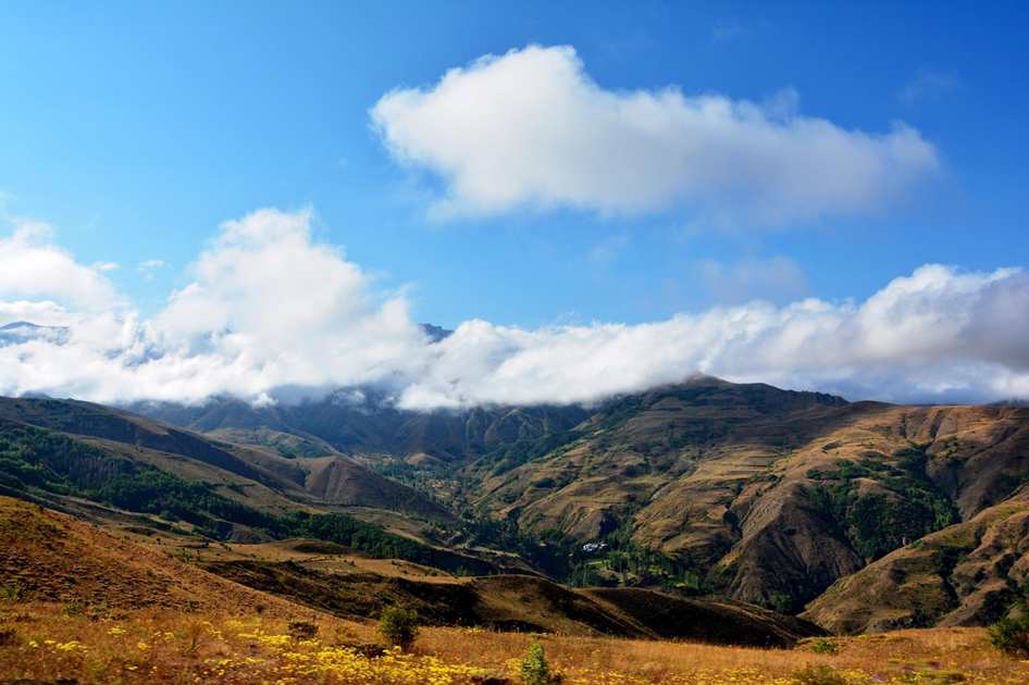 Projeto paisagístico Zdrowie - detalhe